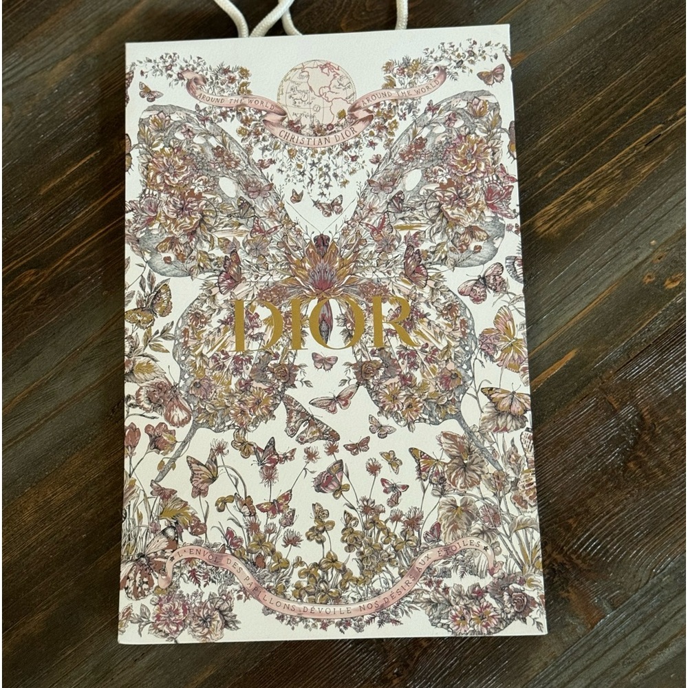 Dior shopping bag